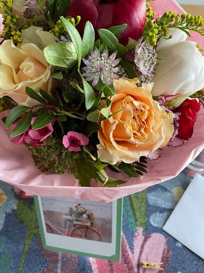 Blumen und Pflanzen Werner, Blumenladen in Dortmund