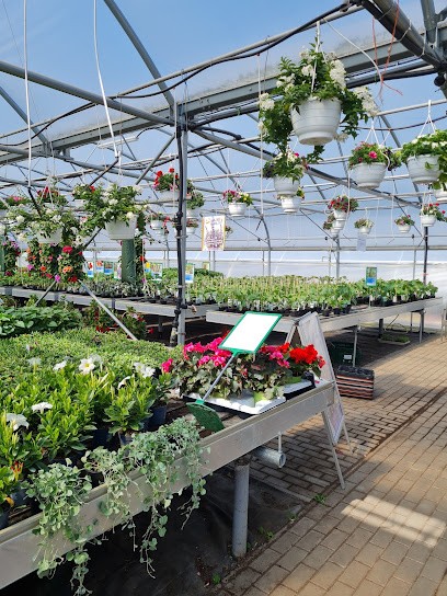 Guido Zurawski Gärtnerei Zurawski, Blumenladen in Zossen