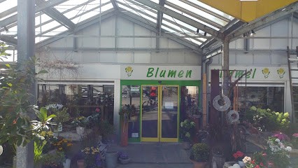 Blumen Kimmel GbR, Blumenladen in Schriesheim