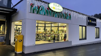 Fleur Holland Blumen, Blumenladen in Marktredwitz