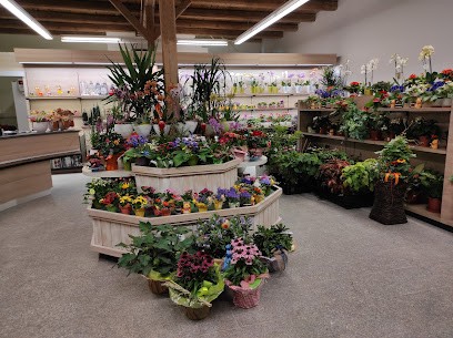 Blumenscheune, Blumenladen in Kamenz