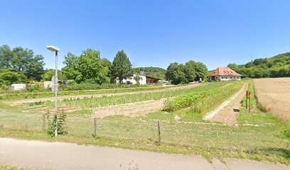 Blumenfeld Emmendingen, Blumenladen in Emmendingen