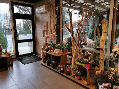 Blumenhaus Küchler Inhaber: Veith Küchler e.K., Blumenladen in Offenbach