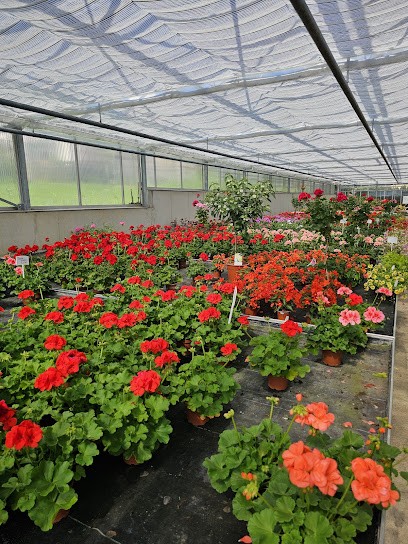 Blumen Weigl, Blumenladen in Neukirchen bei Sulzbach-Rosenberg