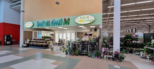 Fleur Holland Blumen, Blumenladen in Hallstadt