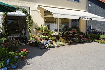 Blumen Haas, Blumenladen in Starnberg