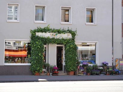 Blumen Rogeé, Blumenladen in Munster