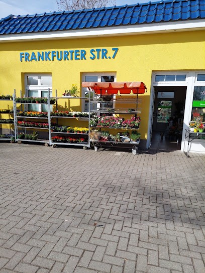 Lebuser Blumenmädchen Bestattungshaus Olaf Schulz GmbH, Blumenladen in Lebus