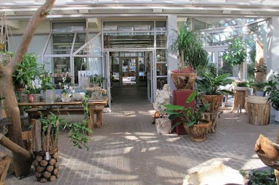 Gärtnerei & Blumenhaus Meier, Blumenladen in Reichenbach