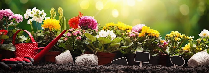 Flora Markt, Blumenladen in Leezen