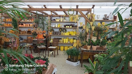 Erika Brand Pflanzenparadies, Blumenladen in Murrhardt