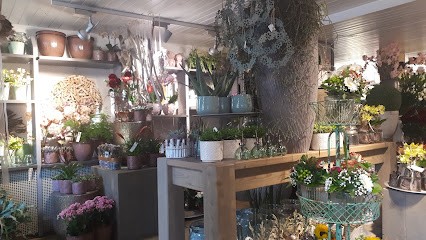 Blumen Schiebel, Blumenladen in Rottenburg am Neckar