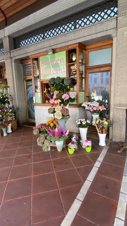 Blumen Albrecht, Blumenladen in Augsburg