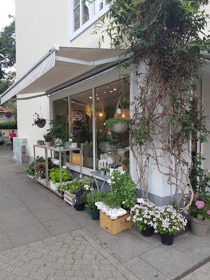 Grünraum, Blumenladen in Hannover
