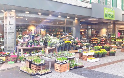 Blumen Risse Blumenladen Wuppertal-Elberfeld, Blumenladen in Wuppertal
