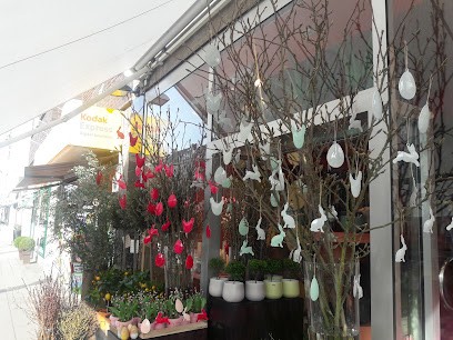 PURE Düsseldorf Blumengut Wohngut, Blumenladen in Düsseldorf