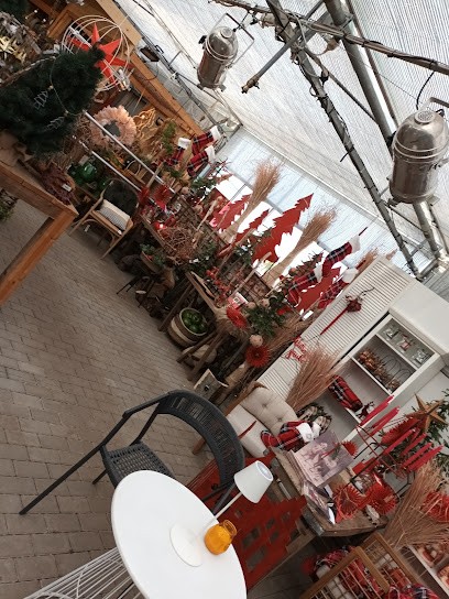 Tulpina, Blumenladen in Schönebeck