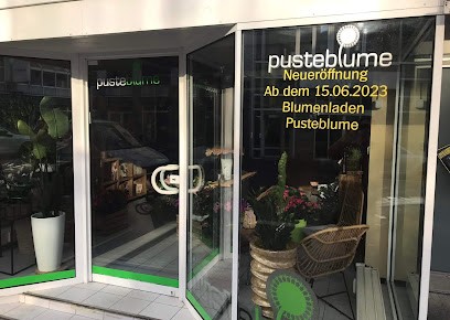 Pusteblume, Blumenladen in Kelkheim