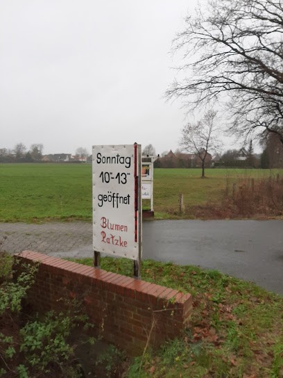 Blumen Patzke, Blumenladen in Weyhe