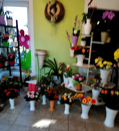 Blumen Franke, Blumenladen in Ottendorf-Okrilla