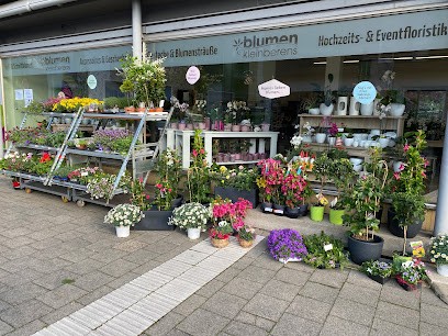 Blumen Kleinberens, Blumenladen in Rheine