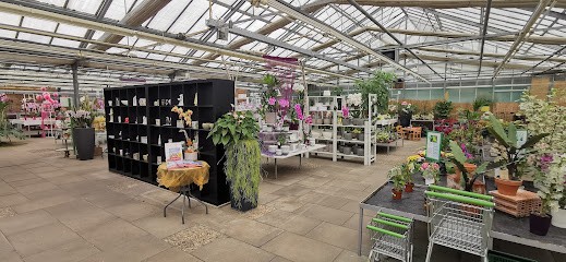 Orchideen-Zentrum Wichmann E. K., Blumenladen in Celle