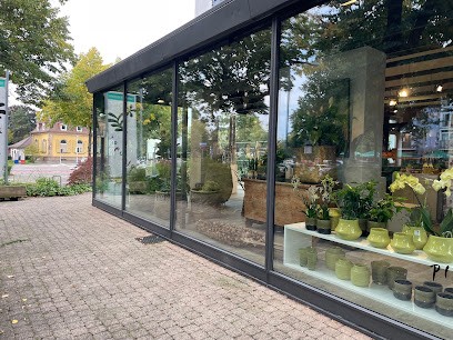 Blumen-Pleuger GmbH, Blumenladen in Freiburg im Breisgau