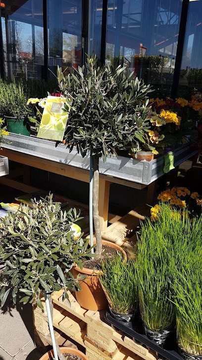 Paul Buck Obst Gemüse Blumen, Blumenladen in Ravensburg