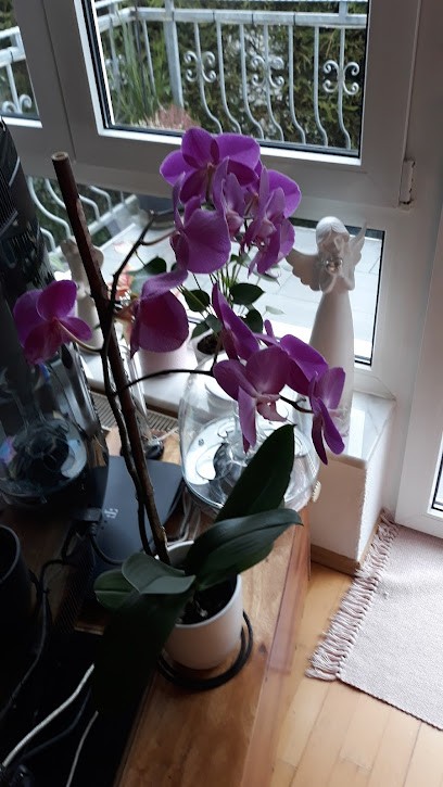 Blumen und mehr, Blumenladen in Grävenwiesbach