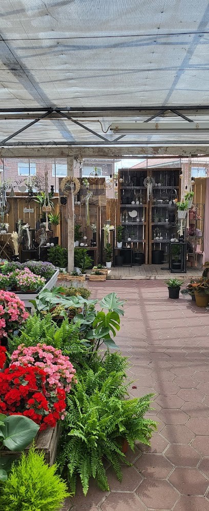 Koenen Blumen, Blumenladen in Weener