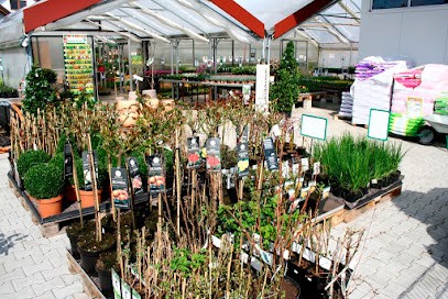 Schierlinger Blumenmarkt, Blumenladen in Schierling