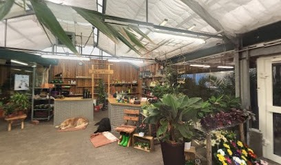 Dunja Pucks, Blumenladen in Schenefeld