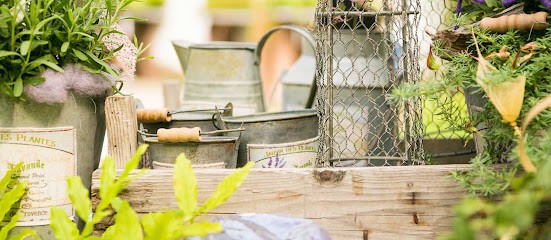 FLOWER DREAMS - Floristik & Blumen, Blumenladen in Schnaittach