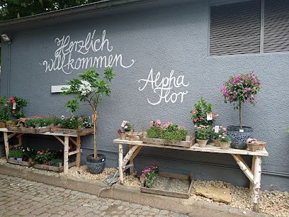AlphaFlor - Blumen und Pflanzenkultur Freiburg, Blumenladen in Freiburg im Breisgau