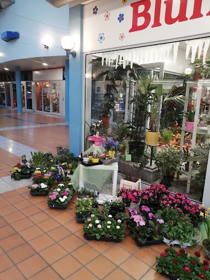 M & R Blumen Rosbroj GmbH, Blumenladen in Merseburg