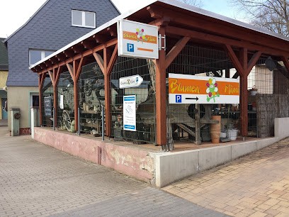 Blumen Mimi Inh. Nicole Leichsenring, Blumenladen in Oberlungwitz