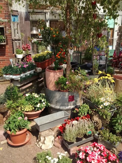 Blumen Hinrichs, Blumenladen in Baltrum