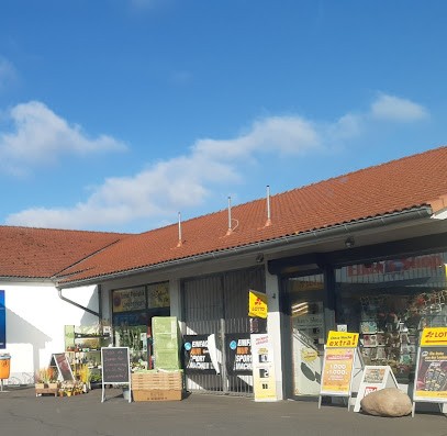 Trend Floristik Langenbogen, Blumenladen in Teutschenthal