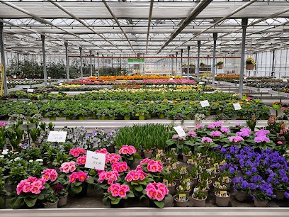 Gebrüder Schmidt OHG, Blumenladen in Königslutter am Elm