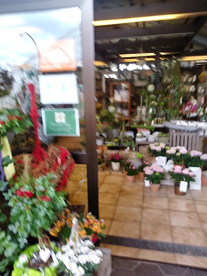 Heike Heling Gartenbau U. Floristik, Blumenladen in Hille