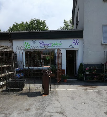 Blumengalerie Am Friedhof, Blumenladen in Korbach