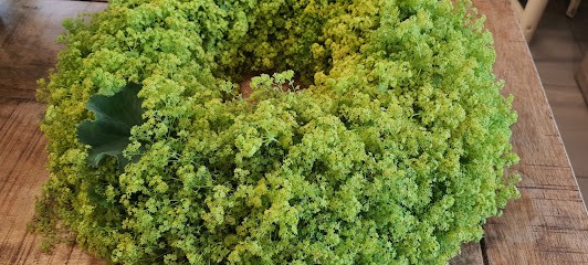 Floristik Schmidt, Blumenladen in Abstatt