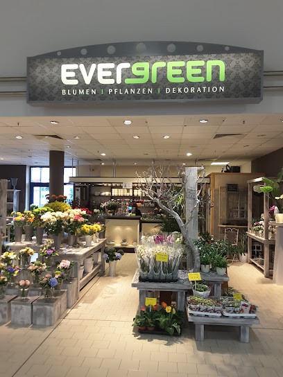 Evergreen, Blumenladen in Aurich