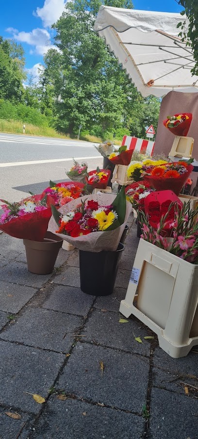 Blumen Verkäufer, Blumenladen in Dreieich