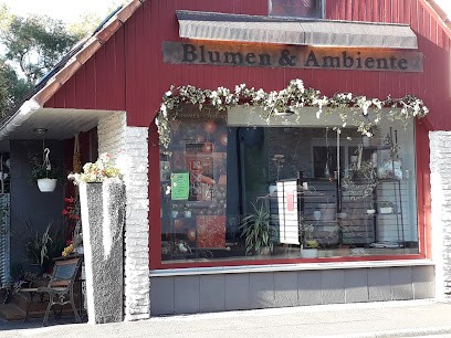 Blumen & Ambiente Hofmann Nicole, Blumenladen in Mücke