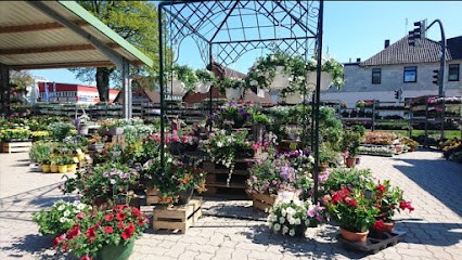 Blumen Röhrs Gartencenter, Blumenladen in Sottrum