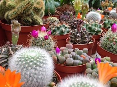 Silberdistel Gartengestaltung Und Blumen- & Pflanzen- Fachmarkt GmbH & Co. KG, Blumenladen in Treuchtlingen
