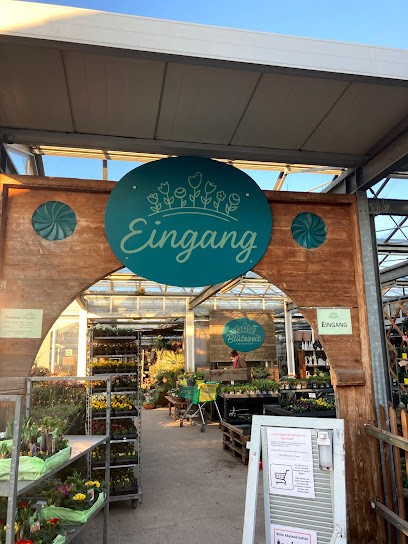 Blütezeit In Der Gärtnerei Zeh, Blumenladen in Eßlingen