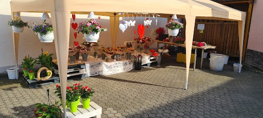 Blumen Mandt, Blumenladen in Troisdorf