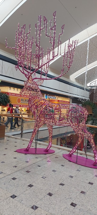 Blumen Edelweiß Im Nova Eventis, Blumenladen in Leuna